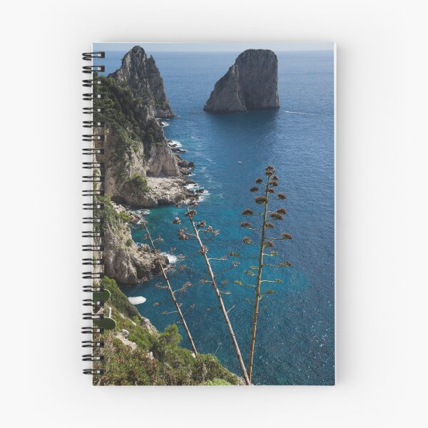 Item preview, The Mediterranean Magic of Capri  designed and sold by Georgia Mizuleva.