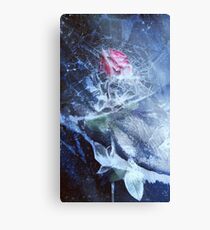Untitled Canvas Print