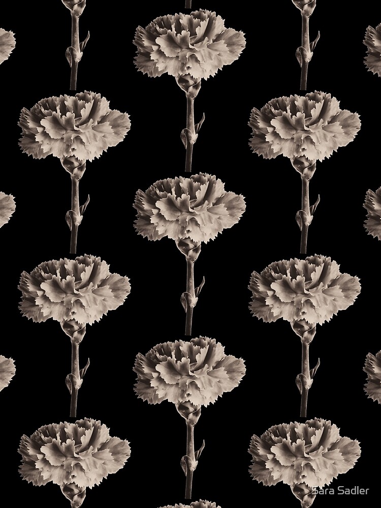 Antique Carnation by sadler2121