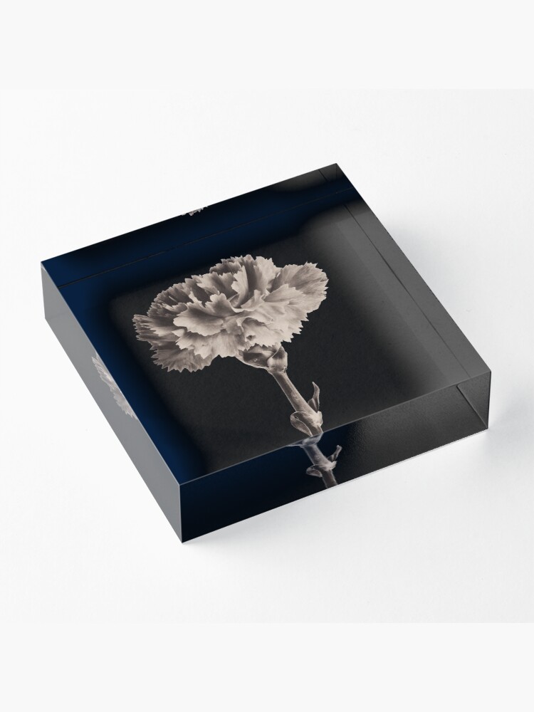 Alternate view of Antique Carnation Acrylic Block