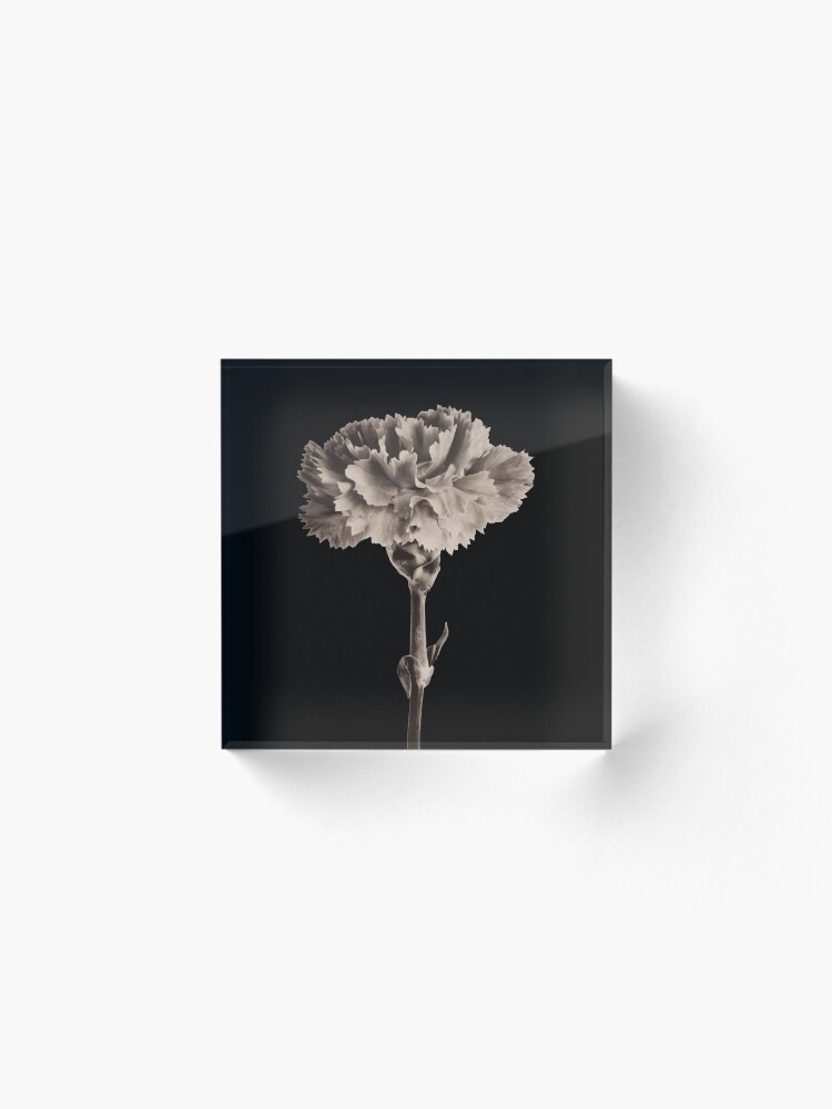 Alternate view of Antique Carnation Acrylic Block
