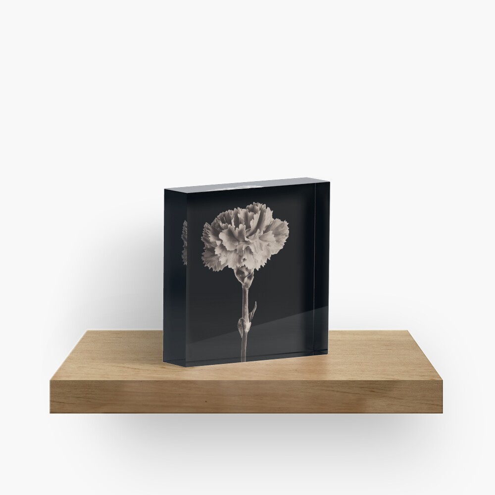 Antique Carnation Acrylic Block