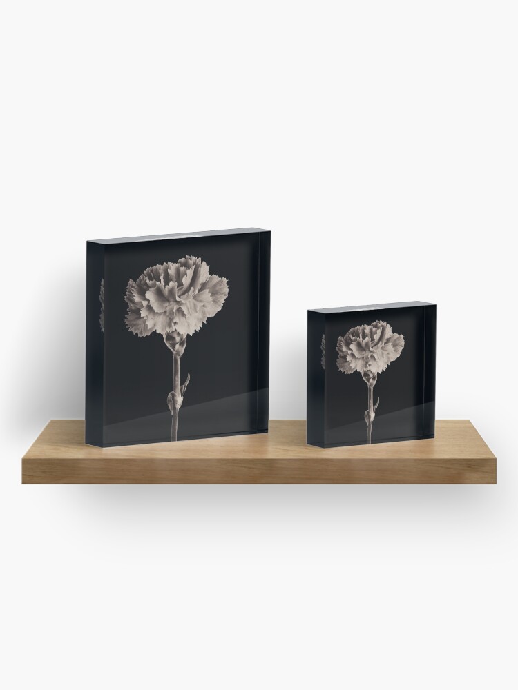 Alternate view of Antique Carnation Acrylic Block