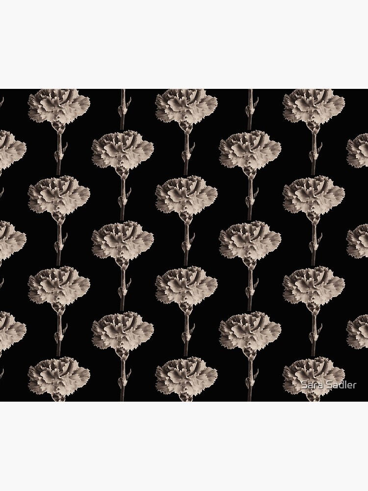 Antique Carnation by sadler2121
