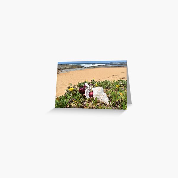 Item preview, Christmas at the Beach Spoon Bay NSW Central Coast of Australia  12 2 designed and sold by suziq1962.