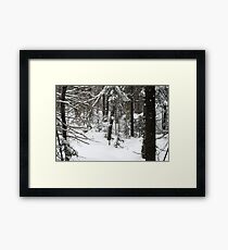 Still Winter :) Framed Print
