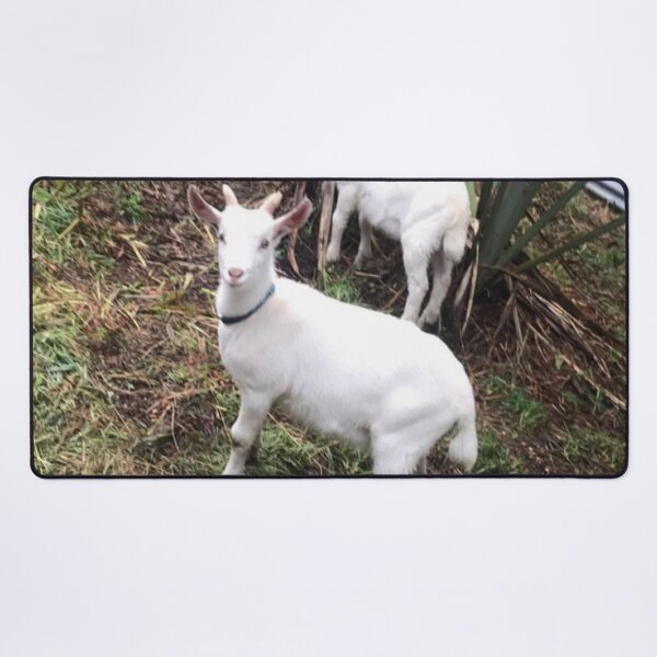 Item preview, Goat kids designed and sold by Beautyqueens Beautys.
