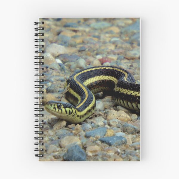 Item preview, Gardener Snake designed and sold by Nicole Kiefer.