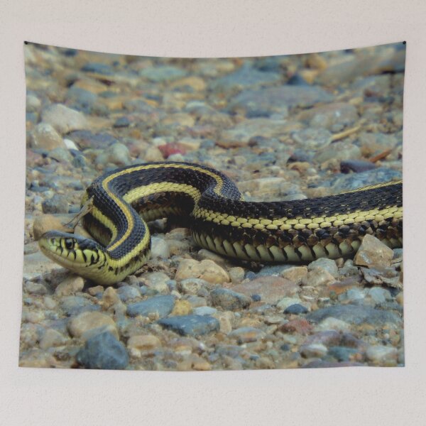 Item preview, Gardener Snake designed and sold by Nicole Kiefer.
