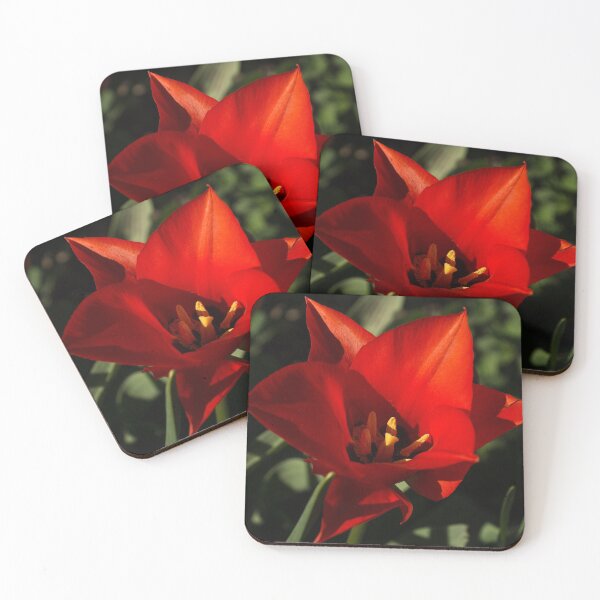 Item preview, Brilliant Spring Sunshine in Red designed and sold by Georgia Mizuleva.