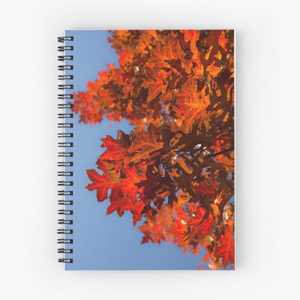 Item preview, Radiant Reds - Oak Leaves and Brilliant Blue Sky designed and sold by Georgia Mizuleva.