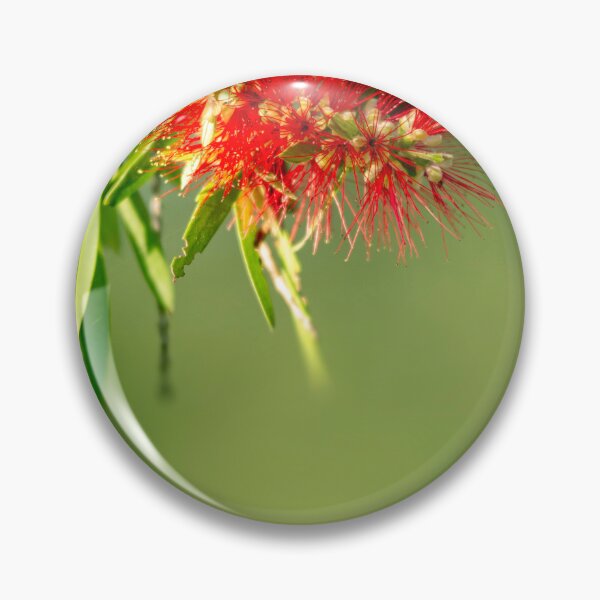 Item preview, Red bottlebrush flower designed and sold by Benita Walker.