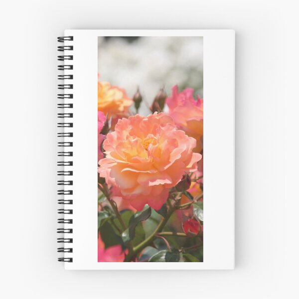 Item preview, Rose flower photography orange colour  designed and sold by Nature  Nblossom.