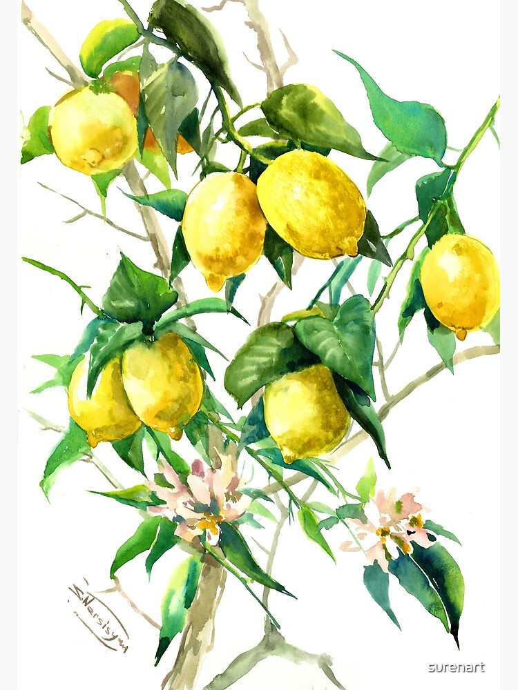 Honey Bee & Lemon Nursery Home Decor Art Print Printable Citrus