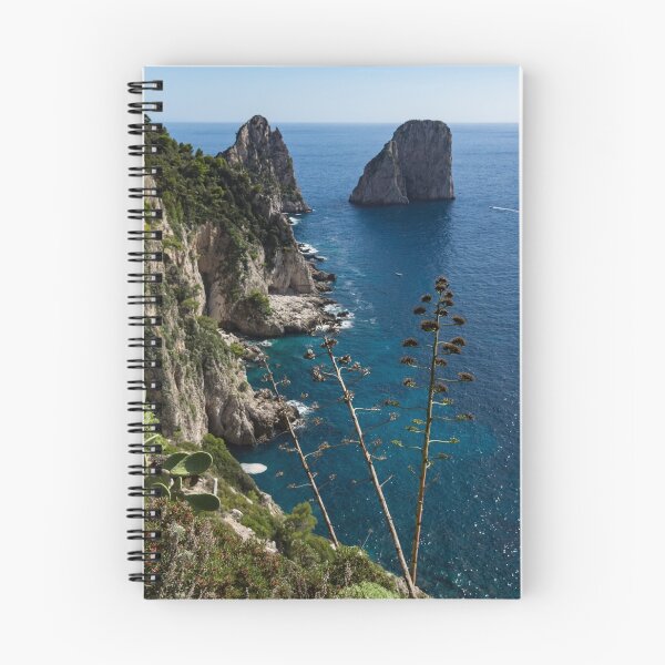 Item preview, Faraglioni Sea Stacks and Agave Bloom Spikes - the Magic of Capri, Italy designed and sold by Georgia Mizuleva.