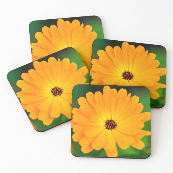 Item preview, Pot marigold in the forest designed and sold by AlbertMi.