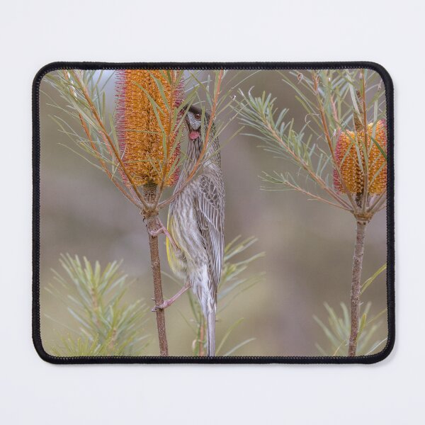 Item preview, Red Wattlebird designed and sold by Luke Foster.