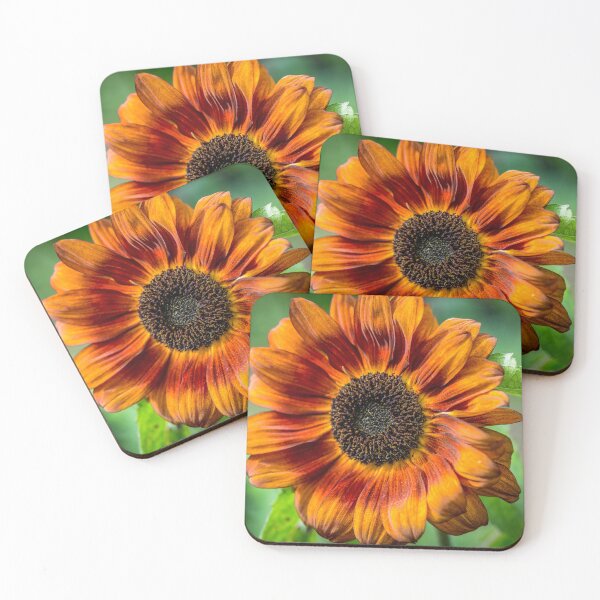 Item preview, Sunflower designed and sold by AlbertMi.