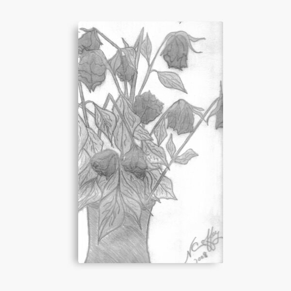 DYING ROSES Metal Print