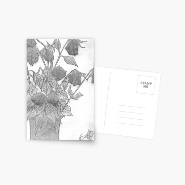 DYING ROSES Postcard
