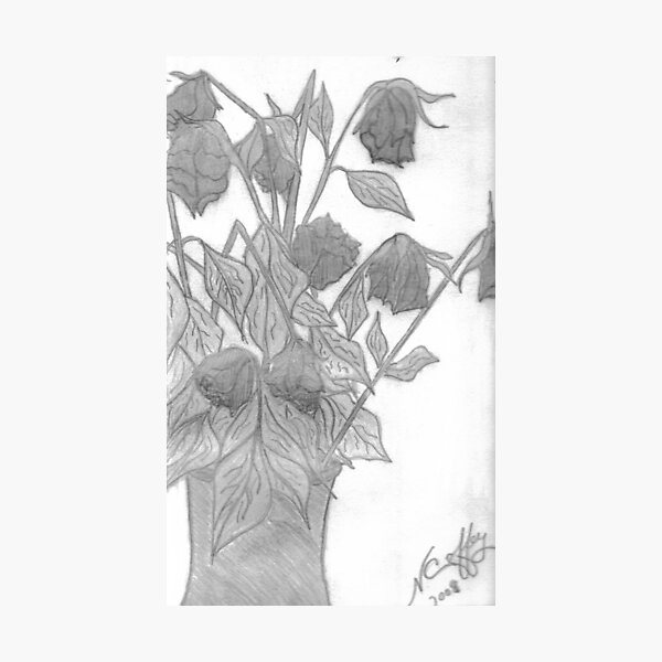 DYING ROSES Photographic Print