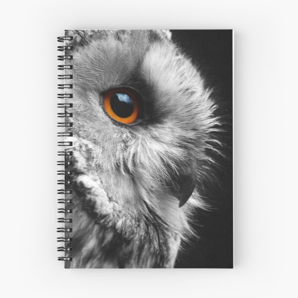 Item preview, Owl designed and sold by Yampimon.