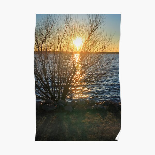 Sunset Through the Trees Poster