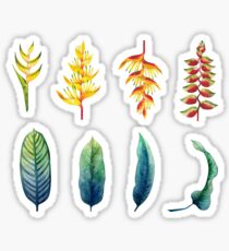 Watercolor heliconia Sticker
