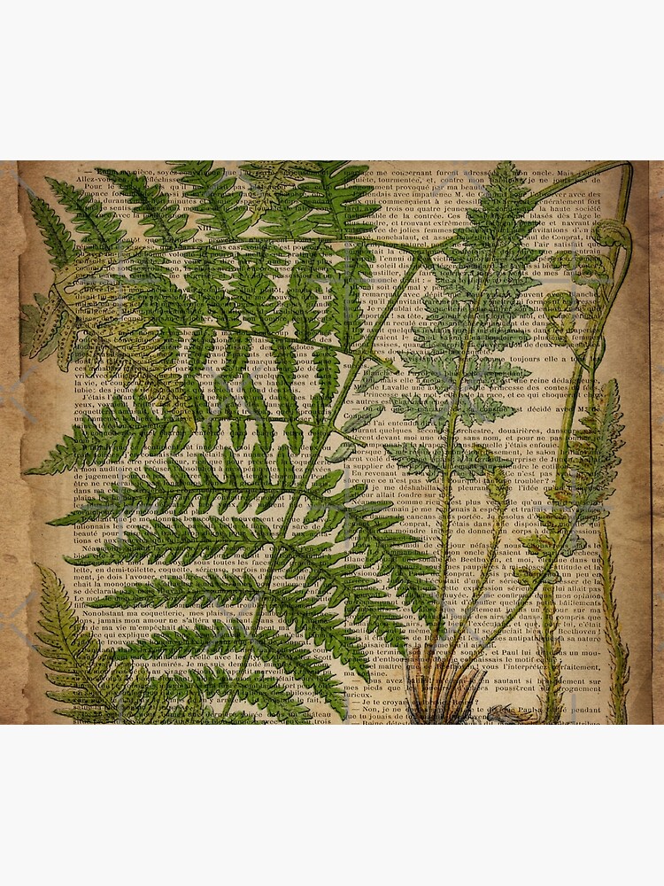 vintage foliage hipster botanical print fern leaves by lfang77