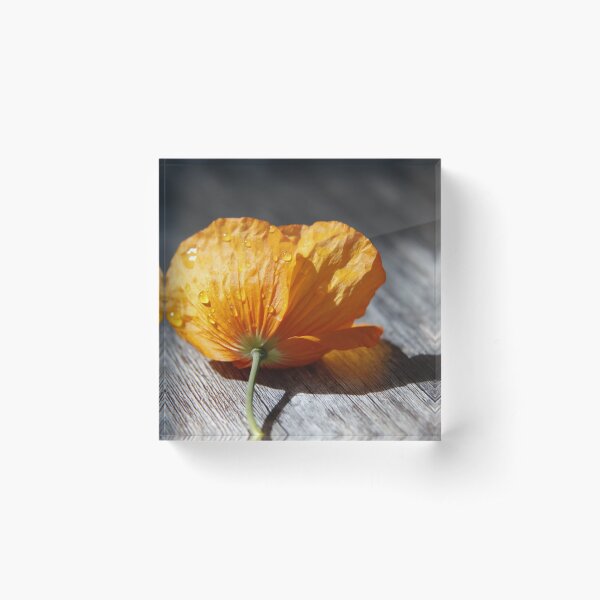 Item preview, Summer rain designed and sold by LynnEnglandPhotography.