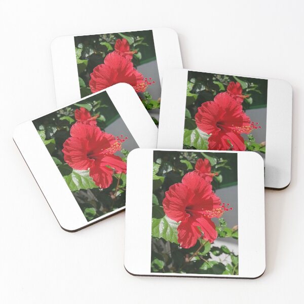 Item preview, Flower photography in red color  designed and sold by Nature  Nblossom.