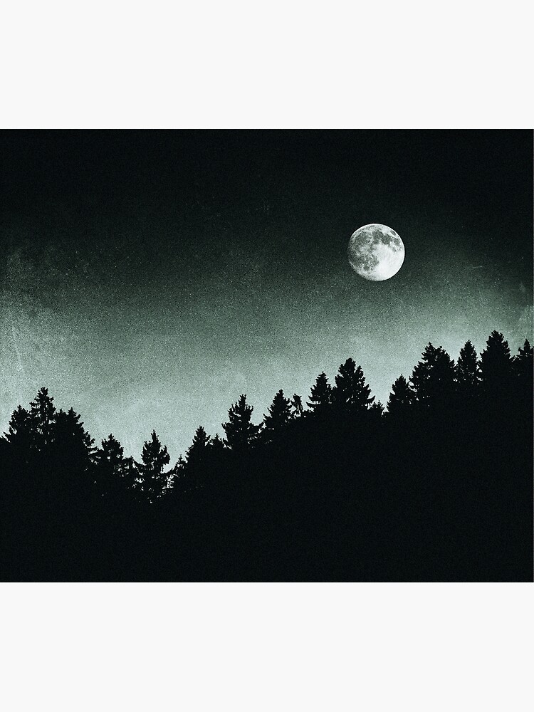 Under Moonlight // Kiwi Melon Collie Lassie Edit by tekay