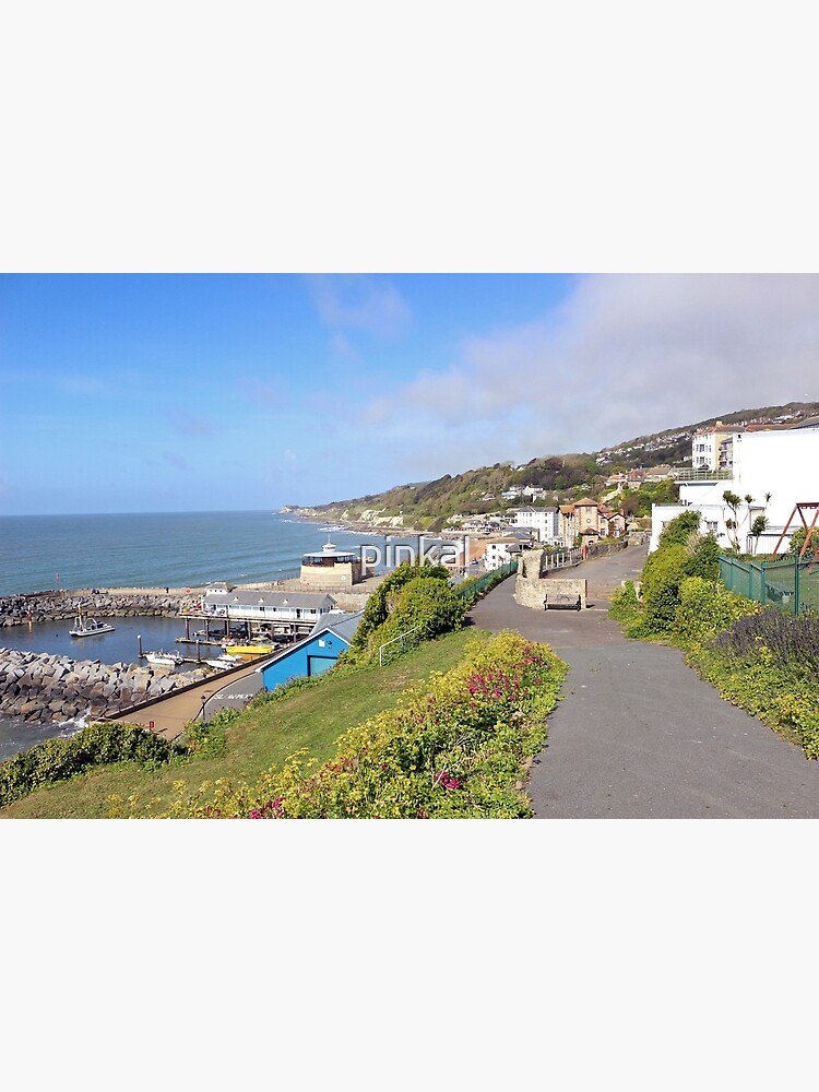 "Haven Fishery and Ventnor Pumping Station from the cliff path, Ventnor