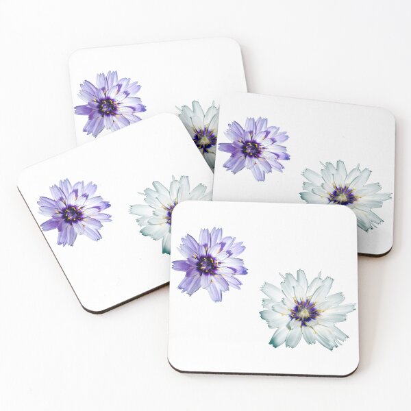 Item preview, Isolated macro image of Blue and White Cupids Dart Flowers  designed and sold by JohnGaffen.