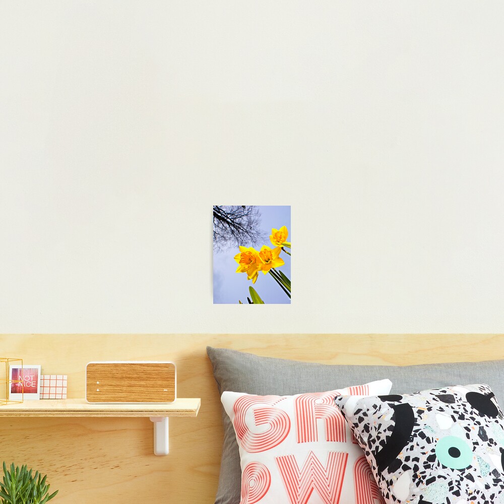 Item preview, Photographic Print designed and sold by derid.