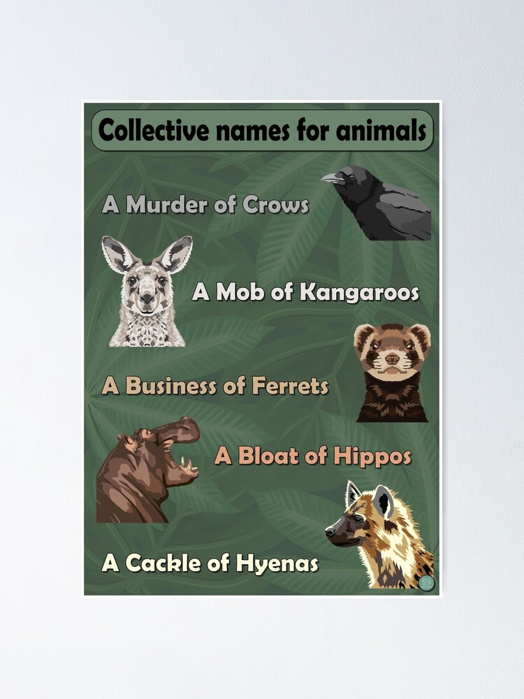 collective-names-for-animals-2-poster-for-sale-by-geocreate-redbubble