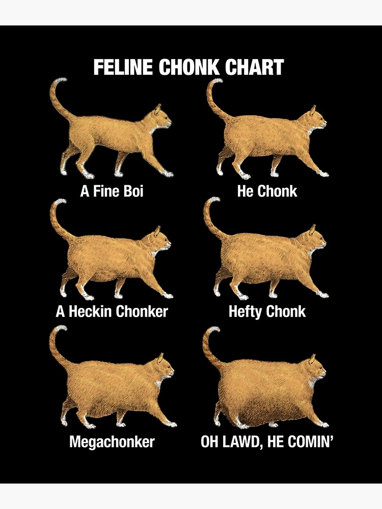 "Feline Chonk Cat Chart, Funny Dank Meme, Oh Lawd He Comin " Poster for