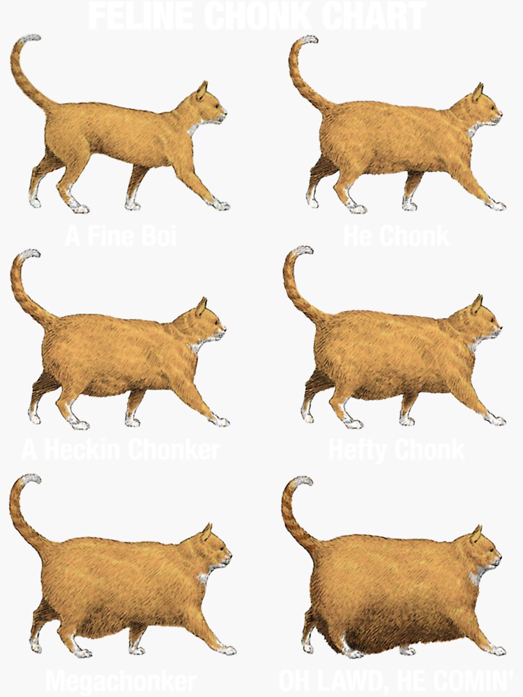 "Feline Chonk Cat Chart, Funny Dank Meme, Oh Lawd He Comin " Sticker