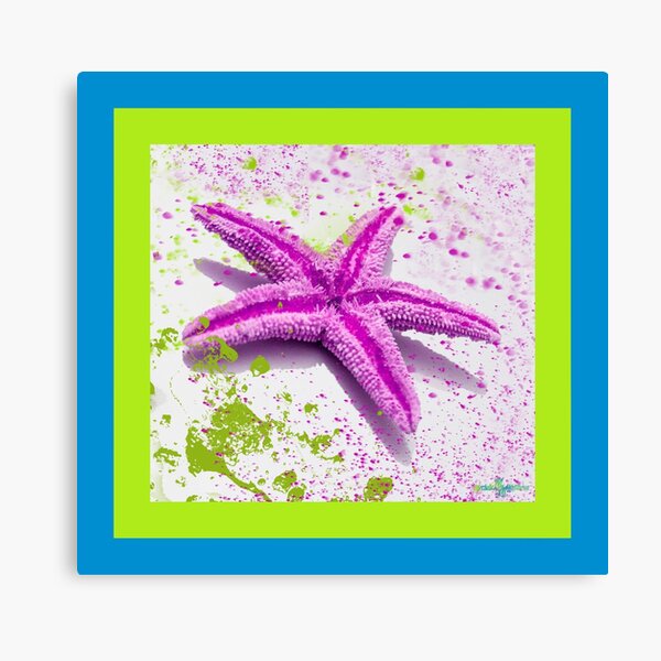 Paint Spattered Star Fish in Purple Canvas Print