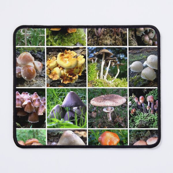 Item preview, Multi Fungi designed and sold by Yampimon.