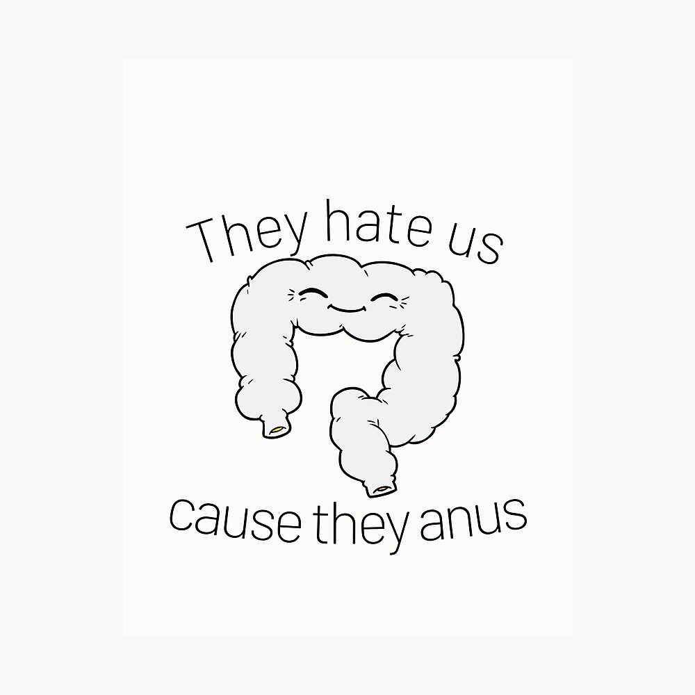 They Hate Us Cuz They Anus - They Hate Us Cause They Anus - Posters and Art  Prints