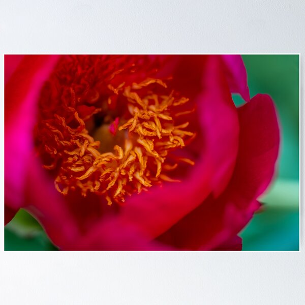 Item preview, Inner workings of a flower macro designed and sold by OskiOnTour.
