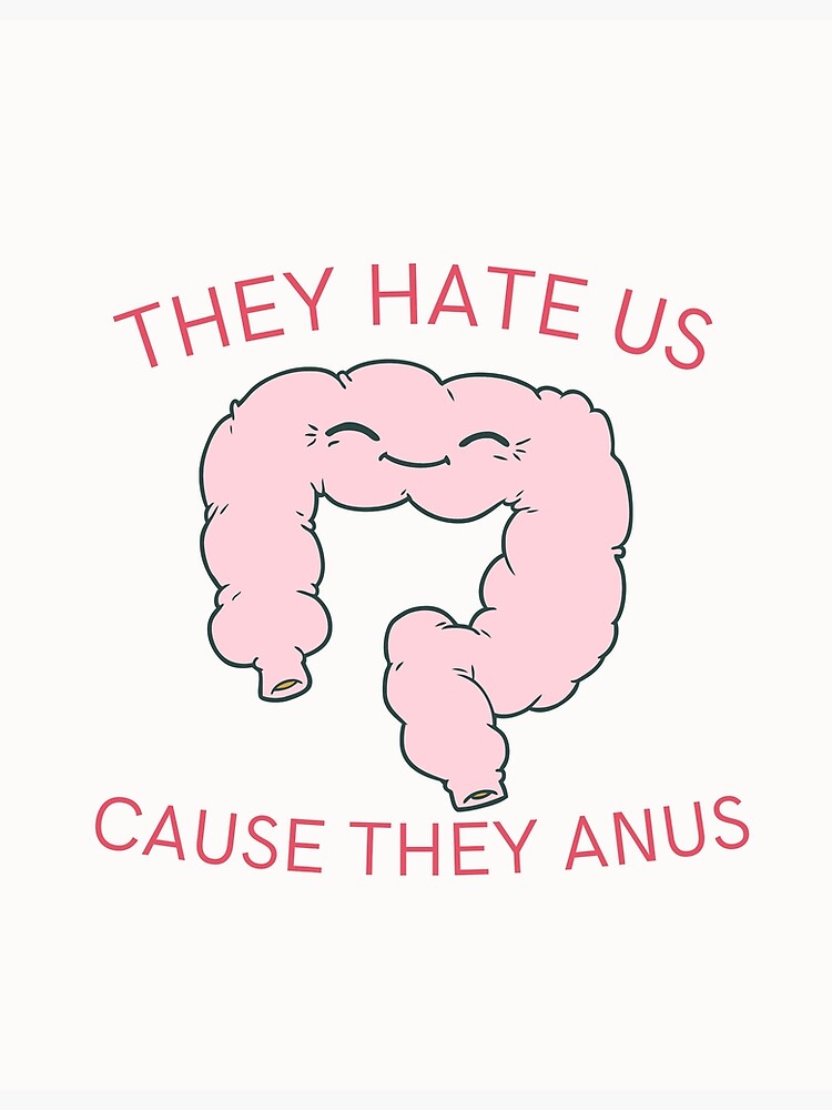 They Hate Us Cause They Anus Poster For Sale By Ayahbanimustafa Redbubble