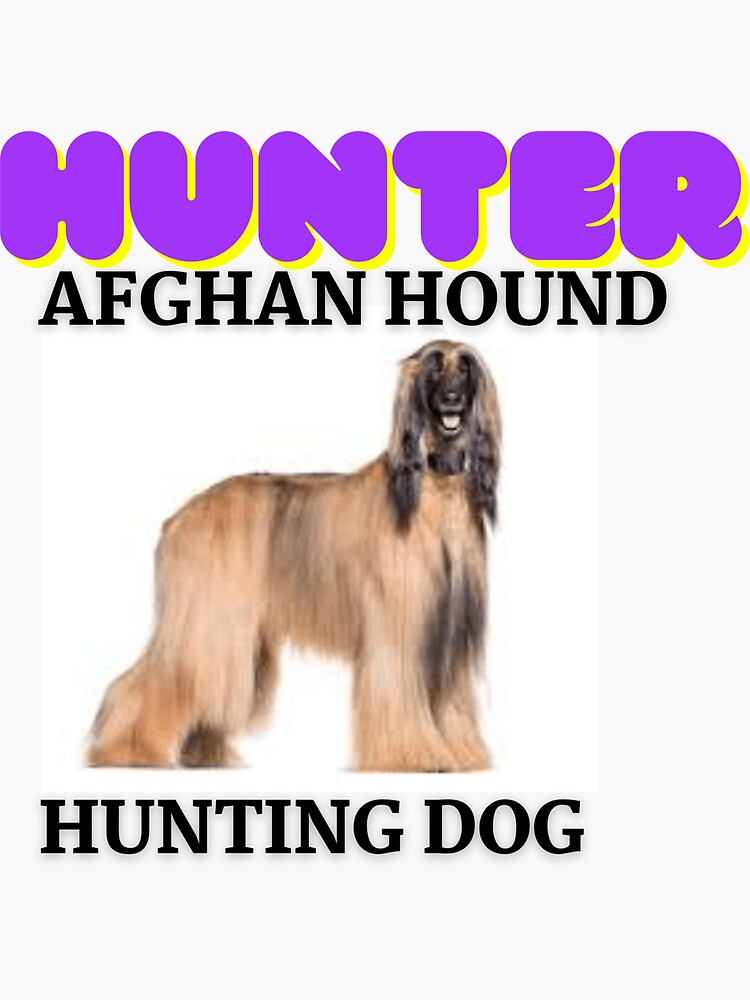 "Hunter Afghan Hound Hunting Dog Perfect Present " Sticker for Sale by