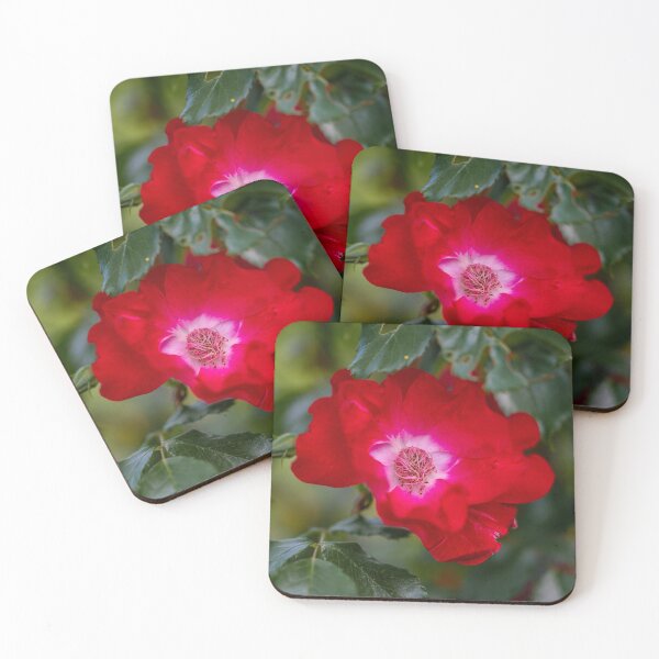 Item preview, wild rose blossom designed and sold by OskiOnTour.