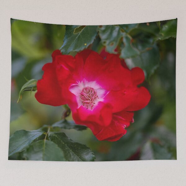 Item preview, wild rose blossom designed and sold by OskiOnTour.