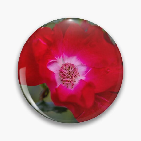 Item preview, wild rose blossom designed and sold by OskiOnTour.