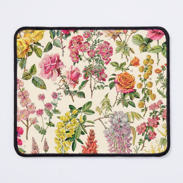 Item preview, Adolphe Millot - Rosacées - French vintage botanical illustration designed and sold by DejaVuStudio.
