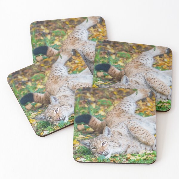 Item preview, Playful Lynx designed and sold by Dominika Aniola.