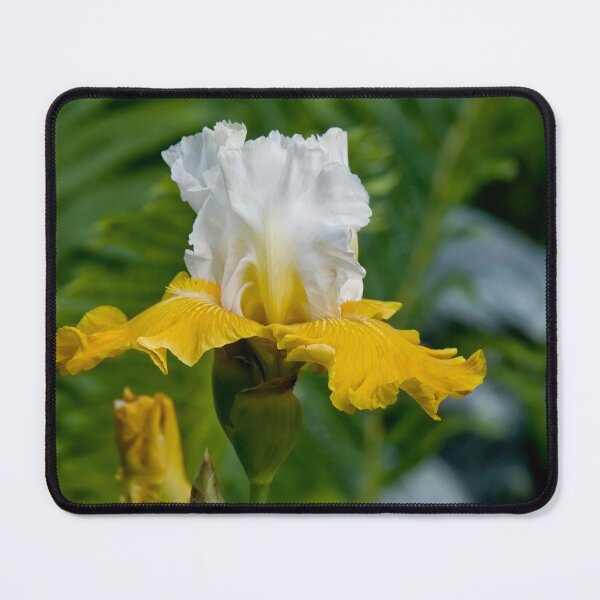 Item preview, Iris designed and sold by Michael Cummings.